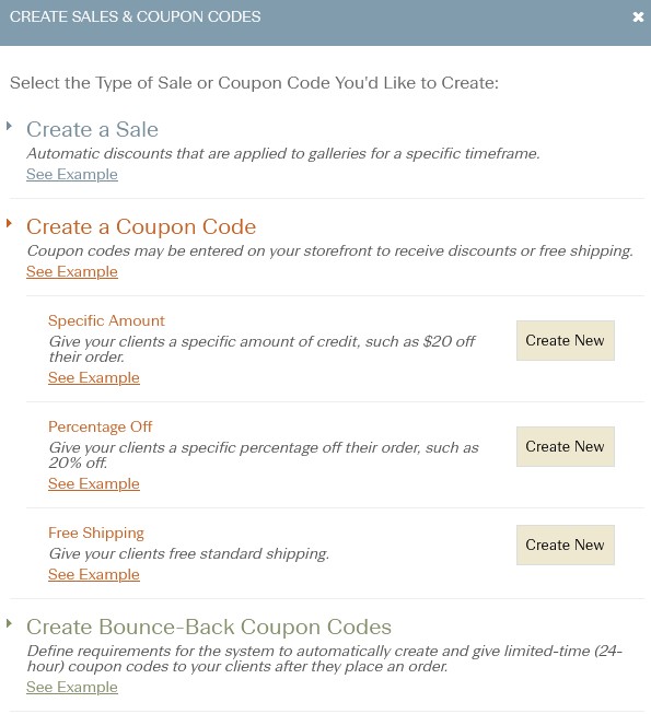 Example - Applying a coupon code to receive free shipping